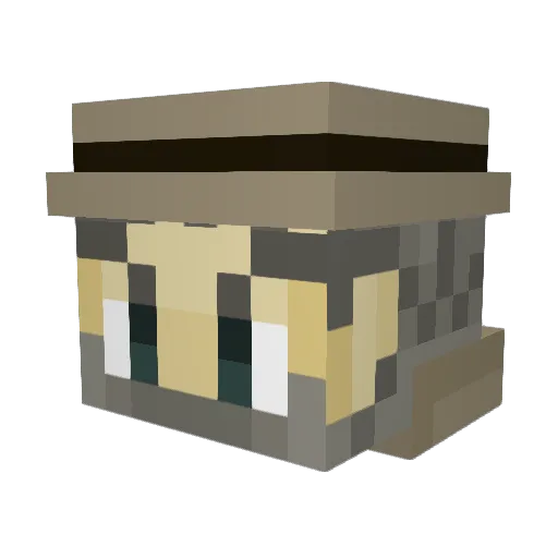 dragonzlayer509 Minecraft avatar head, 3D render