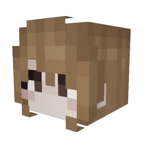 dragoonc Minecraft avatar head, 3D render