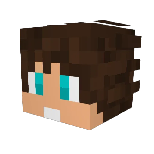 dragoplouf Minecraft avatar head, 3D render