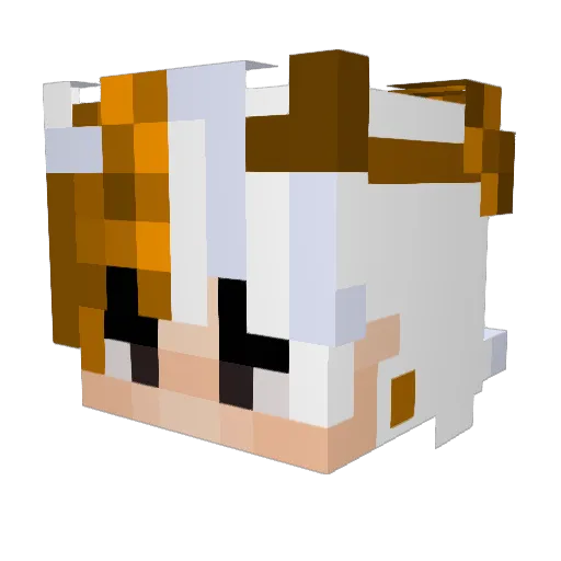 dragoro13 Minecraft avatar head, 3D render