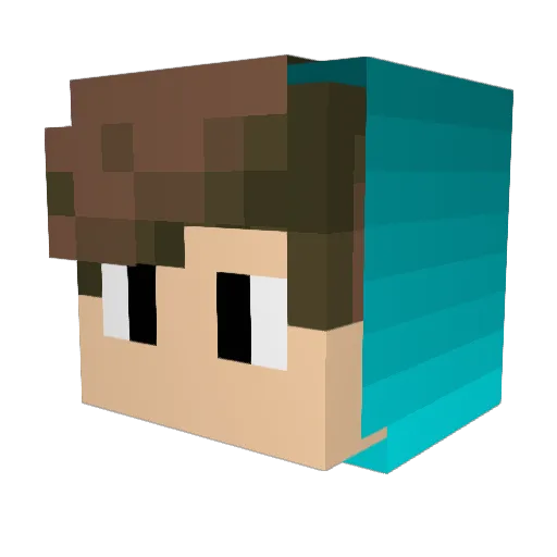 dragounou3060 Minecraft avatar head, 3D render