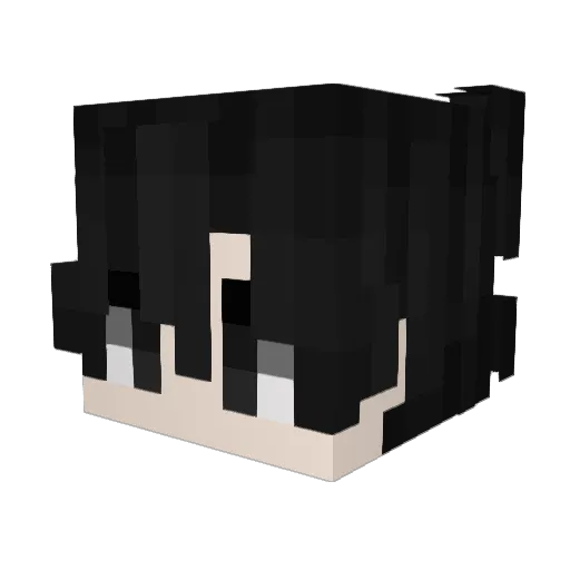 drain19 Minecraft avatar head, 3D render