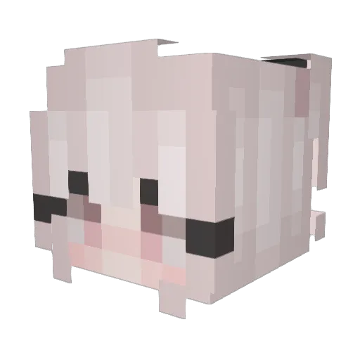 drainergf2001 Minecraft avatar head, 3D render