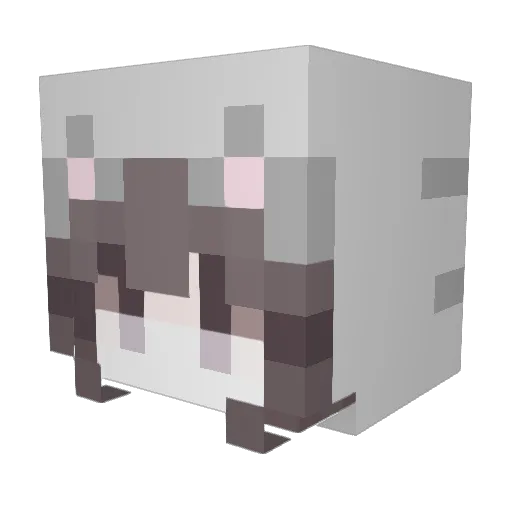 drainganglife123 Minecraft avatar head, 3D render