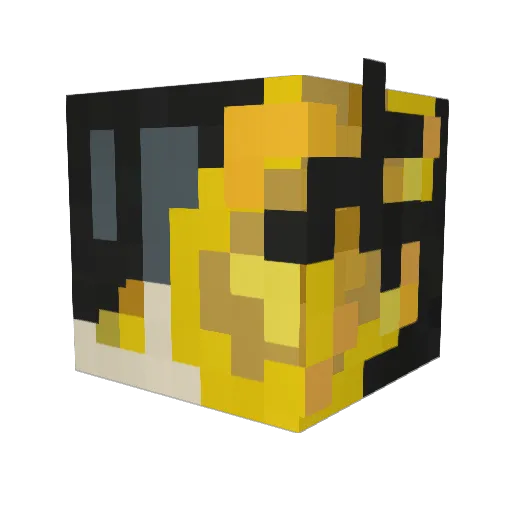 draingangsters Minecraft avatar head, 3D render