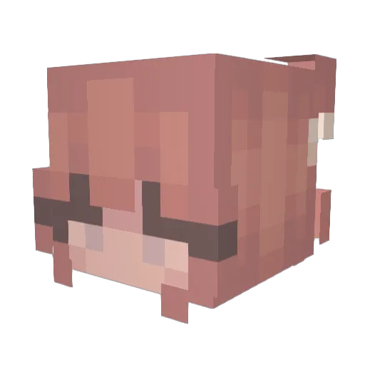 drainical Minecraft avatar head, 3D render
