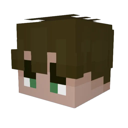 drainy61 Minecraft avatar head, 3D render