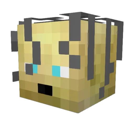 drake_raex1 Minecraft avatar head, 3D render