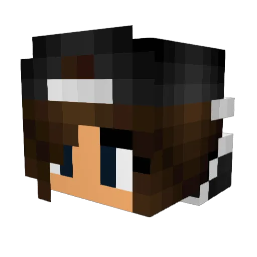 drakeband Minecraft avatar head, 3D render