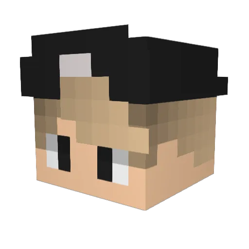 drakecoringa Minecraft avatar head, 3D render