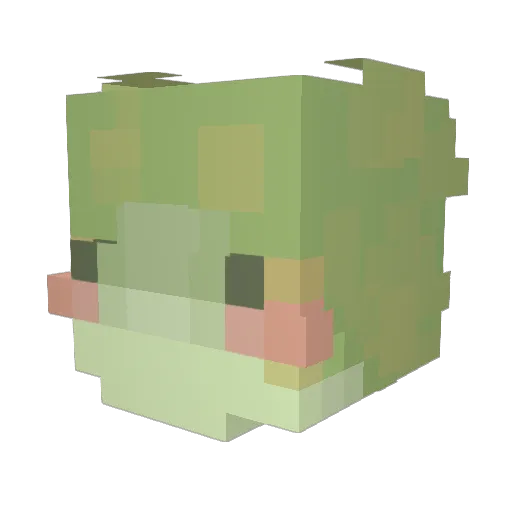 drakenvale Minecraft avatar head, 3D render