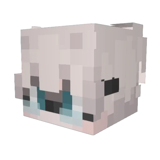 drakesqd Minecraft avatar head, 3D render