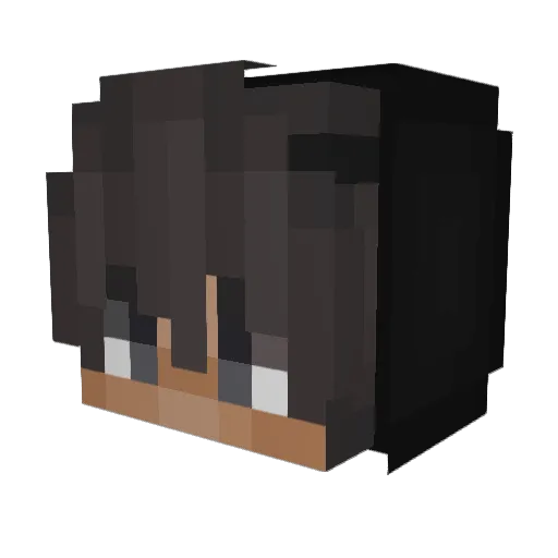 draknonidu02 Minecraft avatar head, 3D render