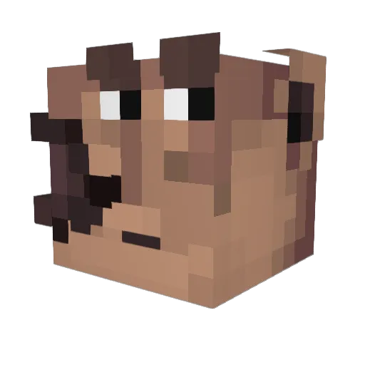 dranikin Minecraft avatar head, 3D render