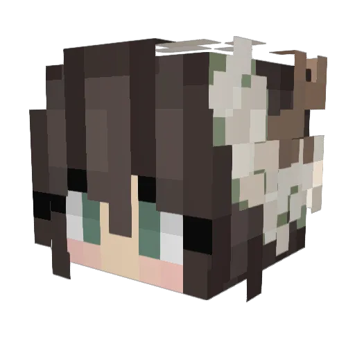 drasomnia Minecraft avatar head, 3D render
