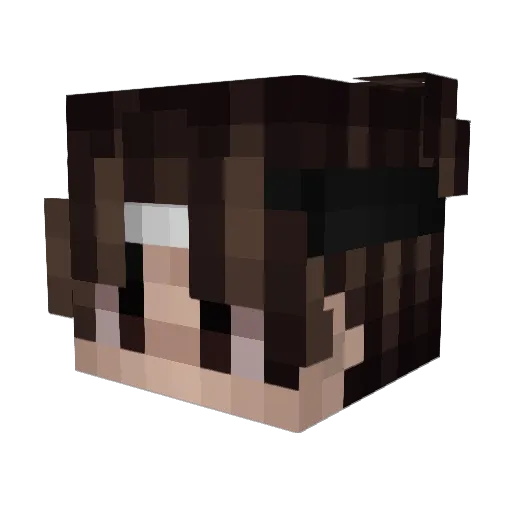 drawkher Minecraft avatar head, 3D render
