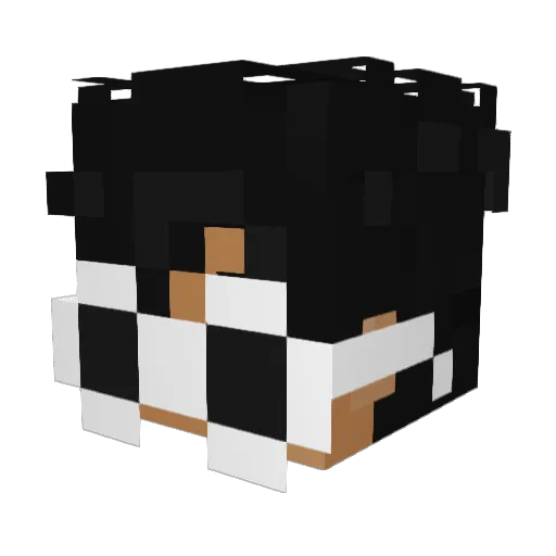 draxy1400 Minecraft avatar head, 3D render