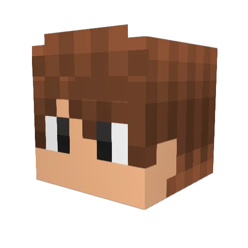 drbr17 Minecraft avatar head, 3D render