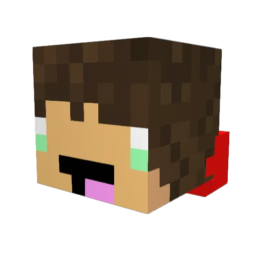 drbubblesiq Minecraft avatar head, 3D render