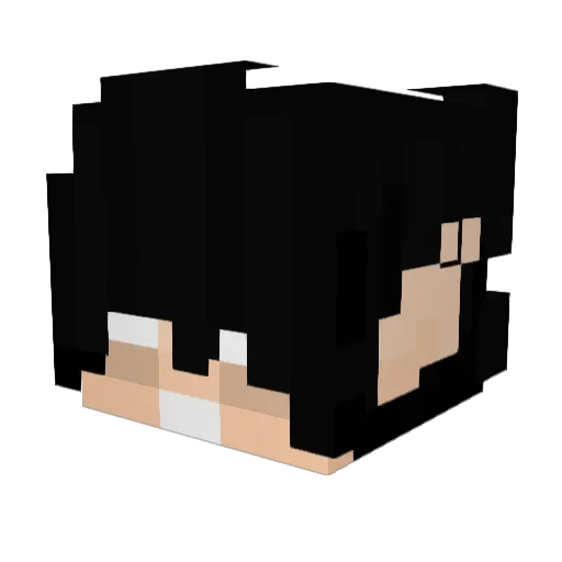 drccr Minecraft avatar head, 3D render