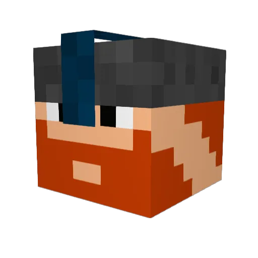 drchoochoo Minecraft avatar head, 3D render
