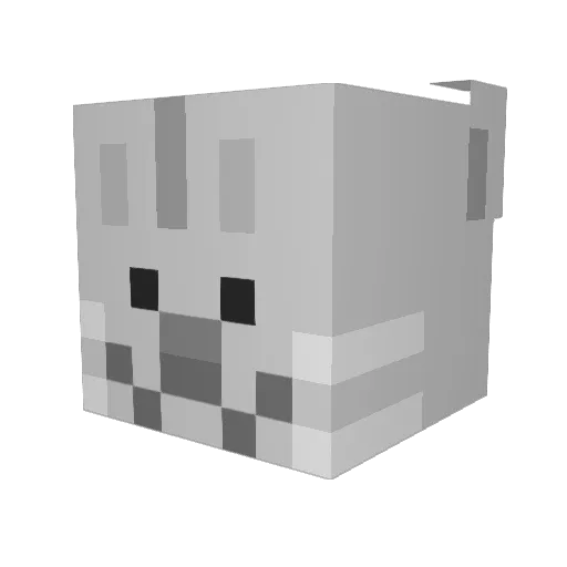 drdog12 Minecraft avatar head, 3D render