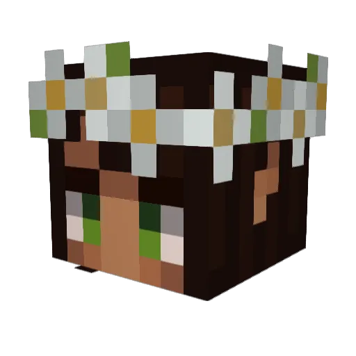 drea4C Minecraft avatar head, 3D render