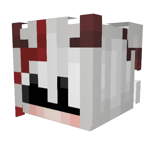dreamersnight Minecraft avatar head, 3D render
