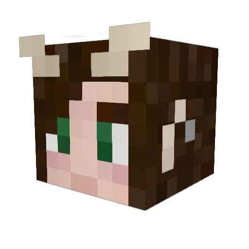 dreamingmuse Minecraft avatar head, 3D render
