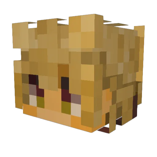 dreamoo Minecraft avatar head, 3D render