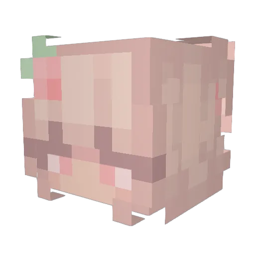 dreamysugary Minecraft avatar head, 3D render