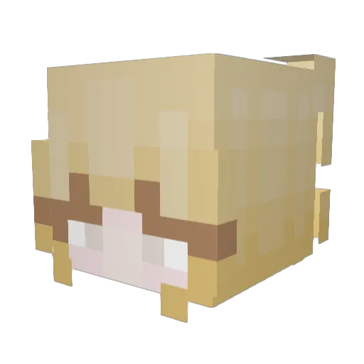 dreamytimes Minecraft avatar head, 3D render