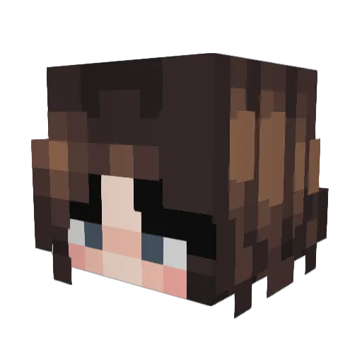 dreamytortelini Minecraft avatar head, 3D render