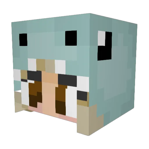 dreske4 Minecraft avatar head, 3D render