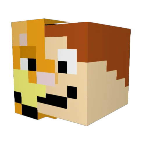 drewesboys3 Minecraft avatar head, 3D render