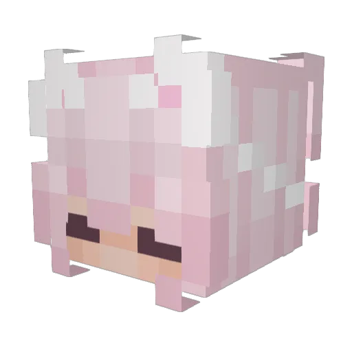 drewinthegalaxy Minecraft avatar head, 3D render