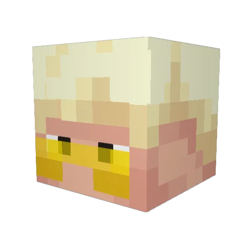 drewop4 Minecraft avatar head, 3D render