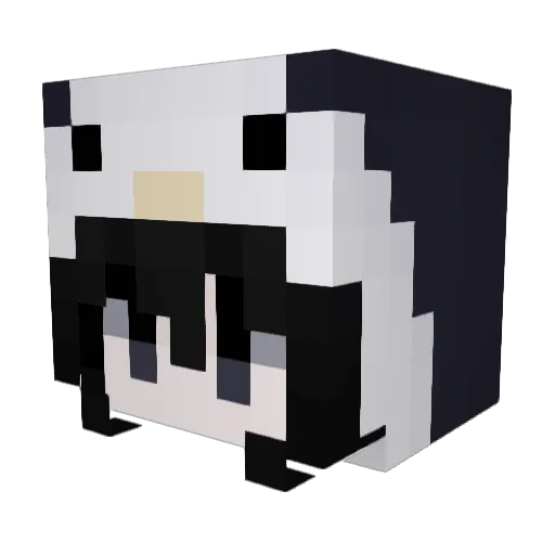 drh1 Minecraft avatar head, 3D render
