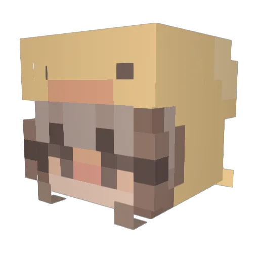 drian_1 Minecraft avatar head, 3D render
