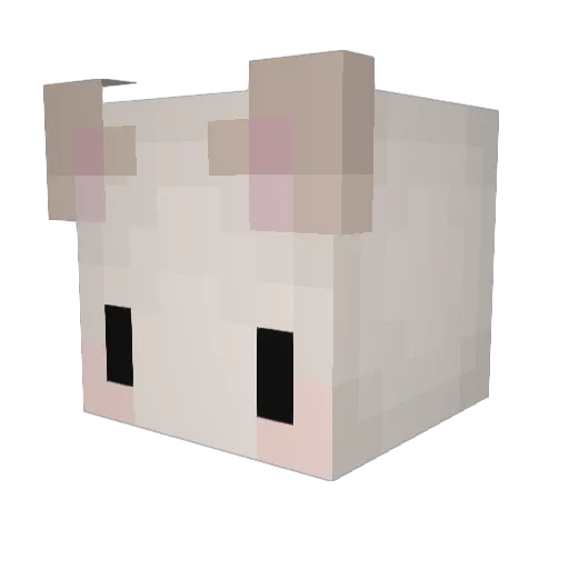 dribblemaster8 Minecraft avatar head, 3D render