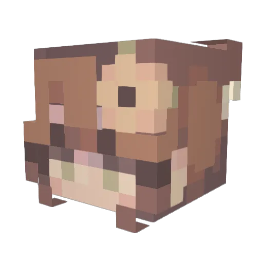drifcia Minecraft avatar head, 3D render