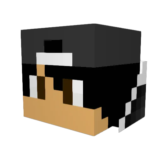 drifteur Minecraft avatar head, 3D render