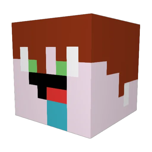 drilight Minecraft avatar head, 3D render