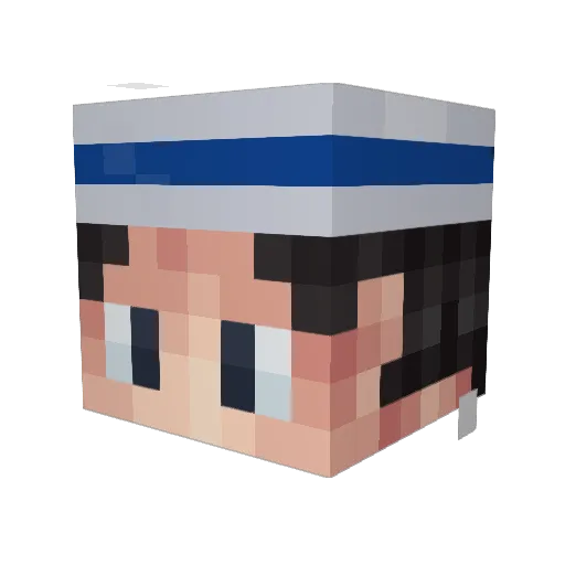 drilly1146 Minecraft avatar head, 3D render