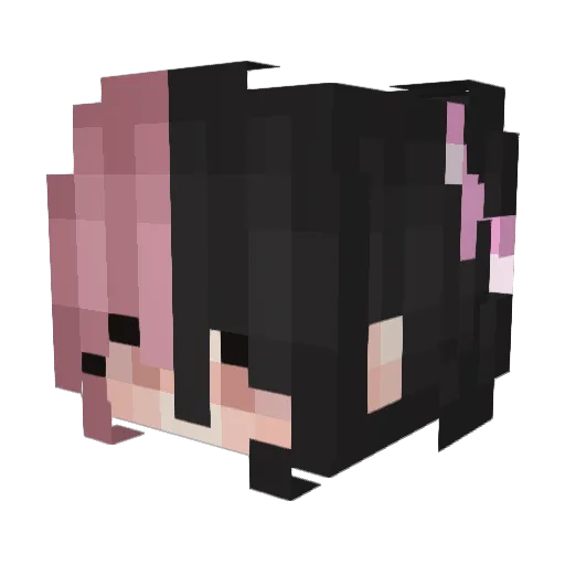 drinkcherrycola Minecraft avatar head, 3D render