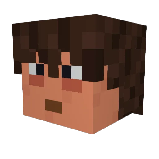 drinksoup_ Minecraft avatar head, 3D render