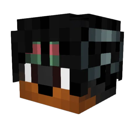 dripliteuser42 Minecraft avatar head, 3D render