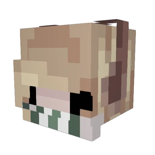 driss_5 Minecraft avatar head, 3D render