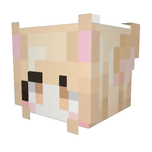 drklrd13 Minecraft avatar head, 3D render