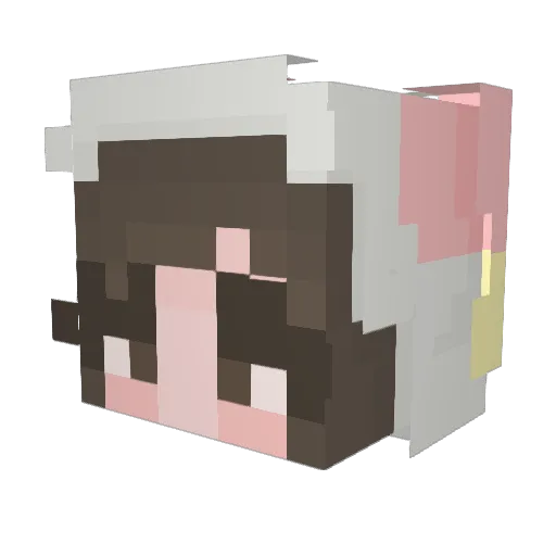 drklrdstn Minecraft avatar head, 3D render